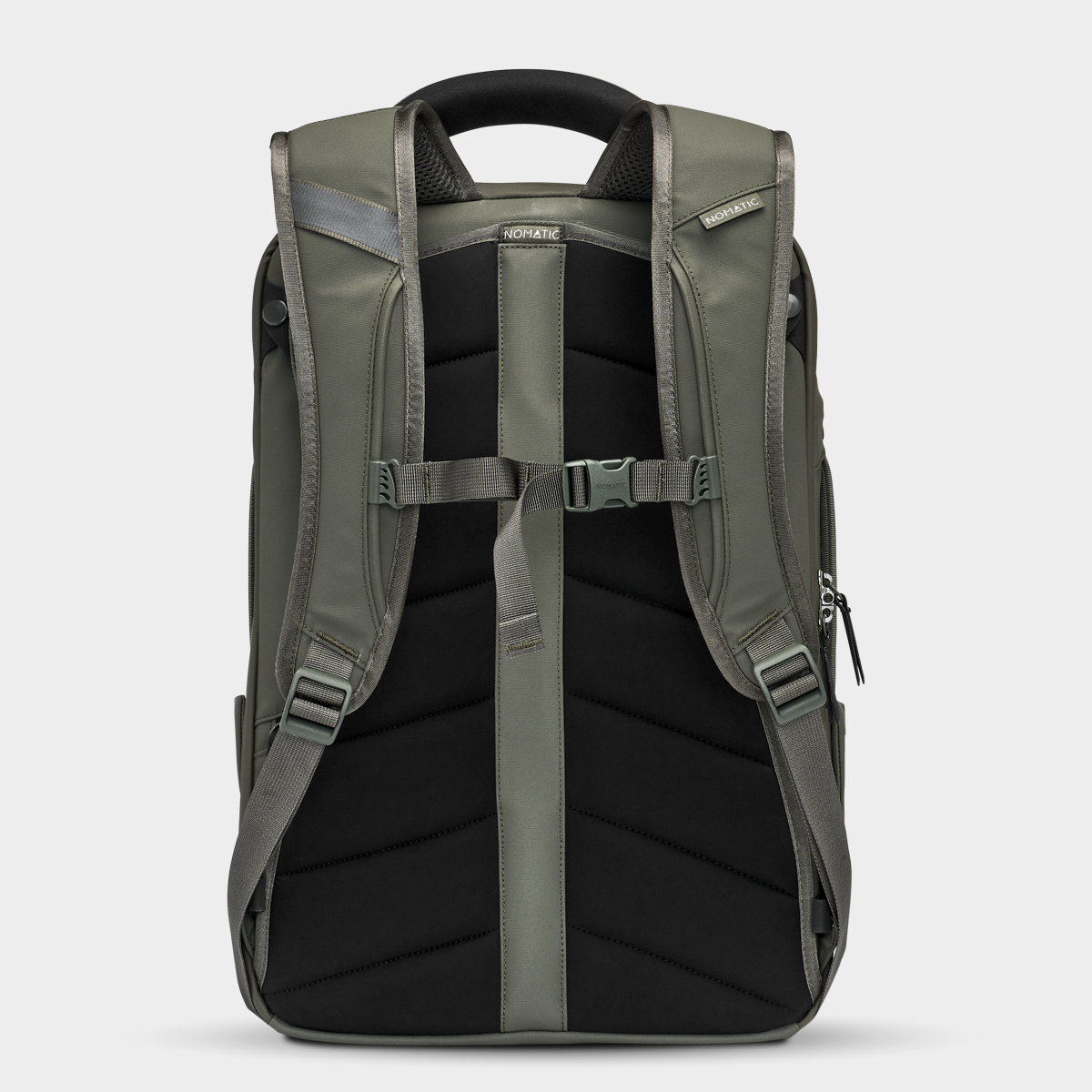 Back view of the Nomatic Travel Pack backpack in green with padded straps, sternum support, and weather-resistant zippers for travel organization.